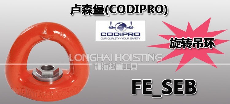 盧森堡FE_SEB旋轉(zhuǎn)吊環(huán) 盧森堡FE_SEB旋轉(zhuǎn)吊環(huán)